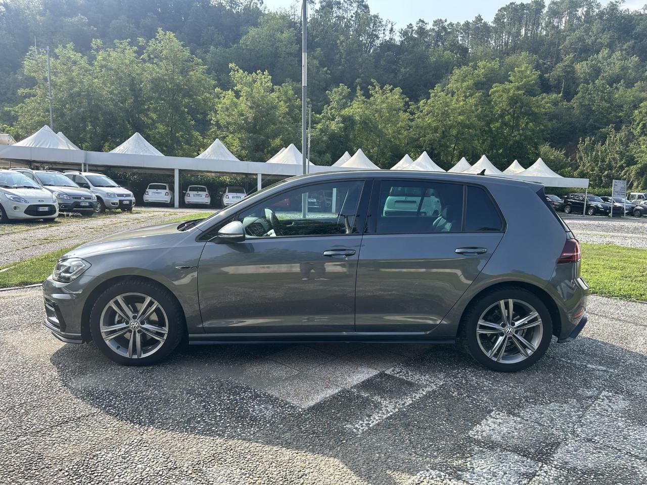 Volkswagen Volkswagen Golf usata 11