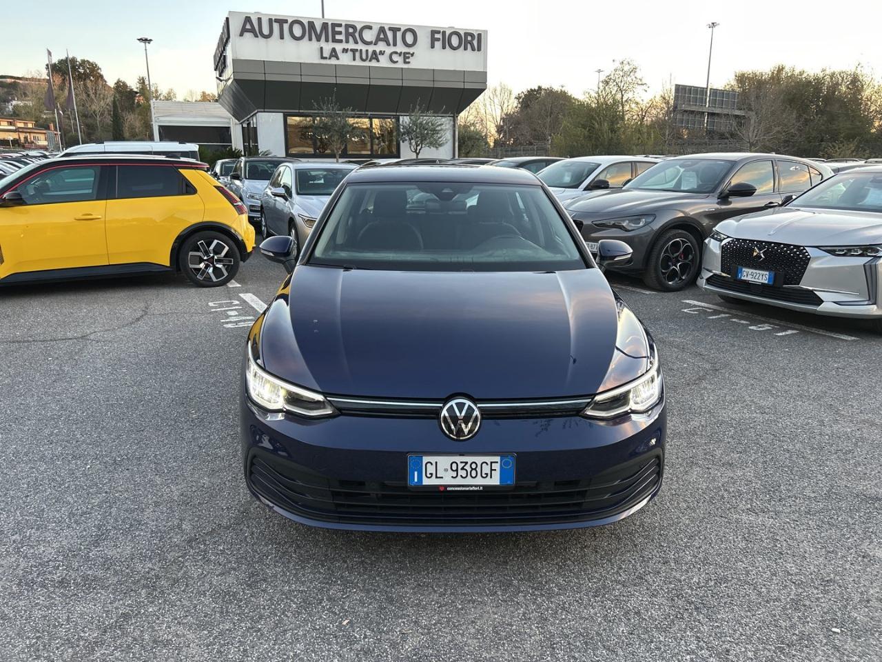 Volkswagen Volkswagen Golf usata 19