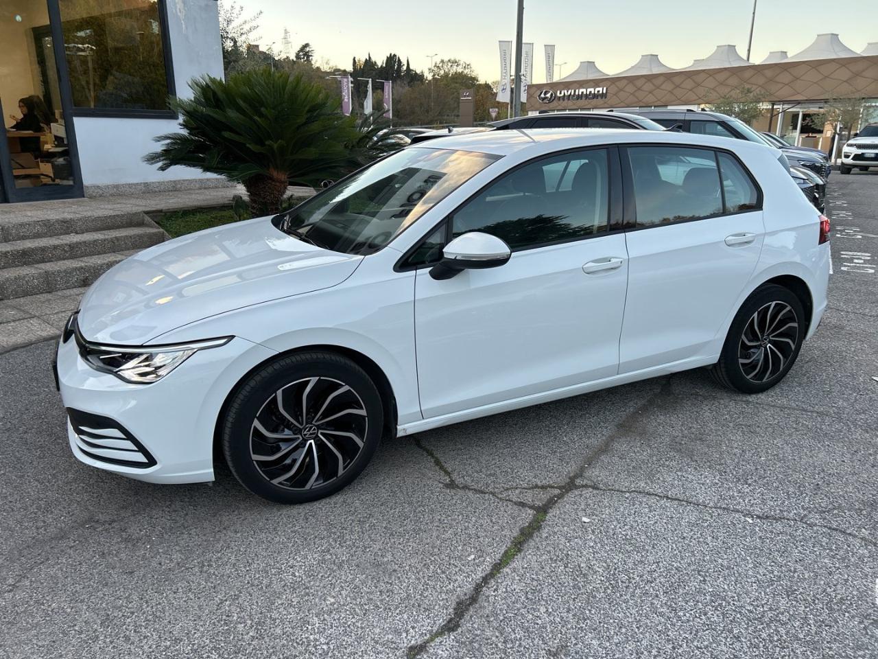 Volkswagen Volkswagen Golf usata 18