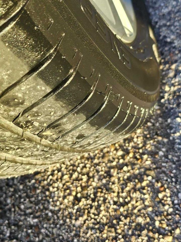 Volkswagen Volkswagen Golf usata 12