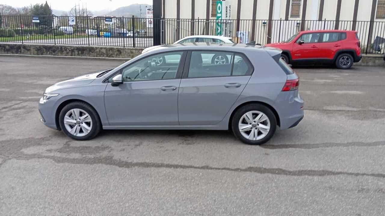 Volkswagen Volkswagen Golf usata 10