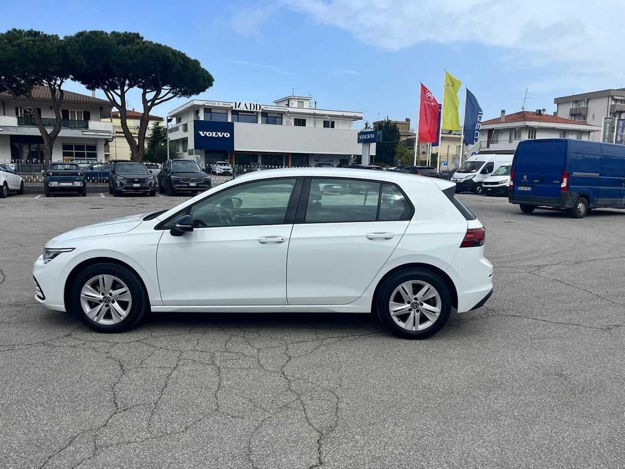Volkswagen Volkswagen Golf usata 12