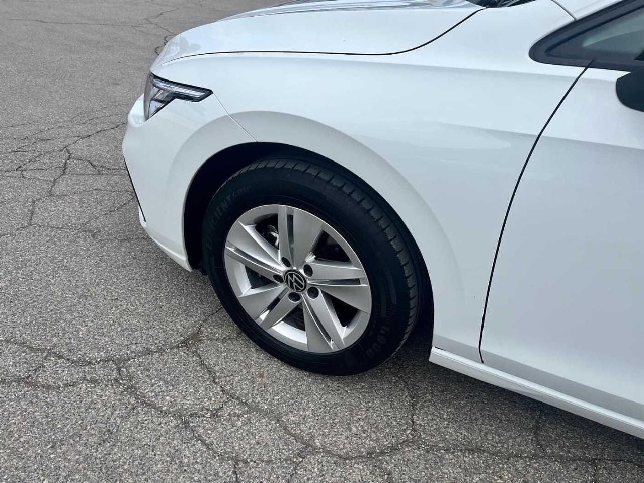 Volkswagen Volkswagen Golf usata 15