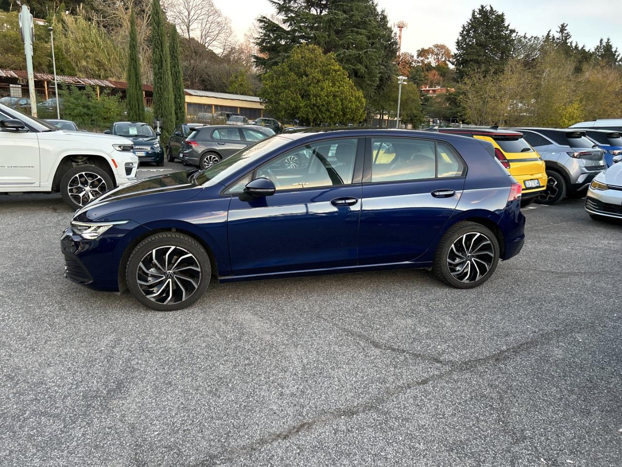 Volkswagen Volkswagen Golf usata 20