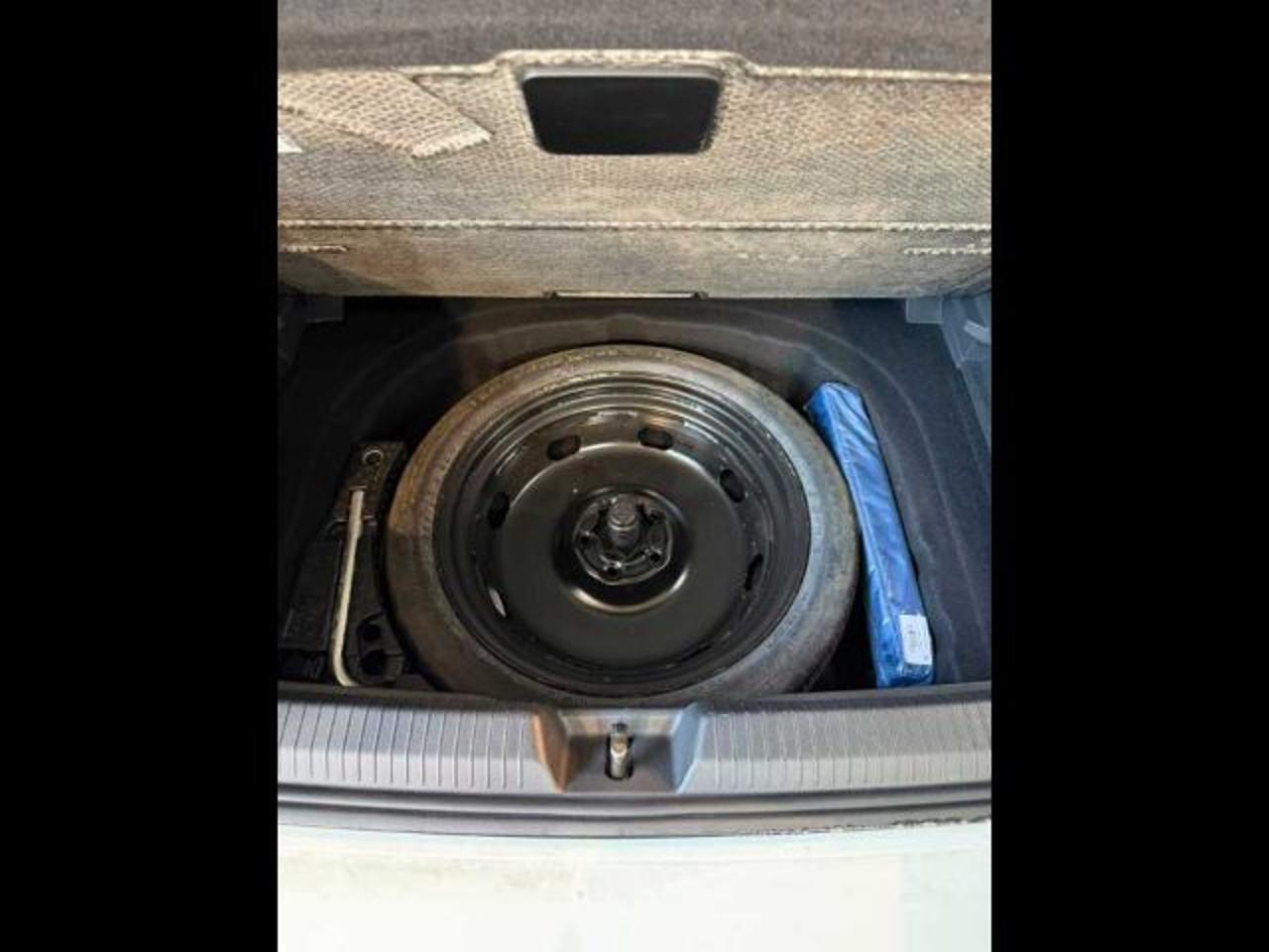 Volkswagen Volkswagen Golf usata 13