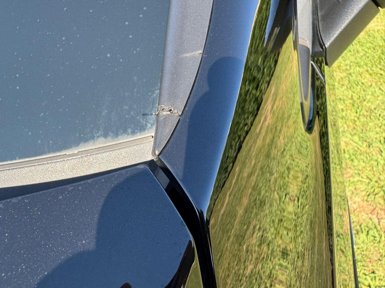 Volkswagen Volkswagen Golf usata 8