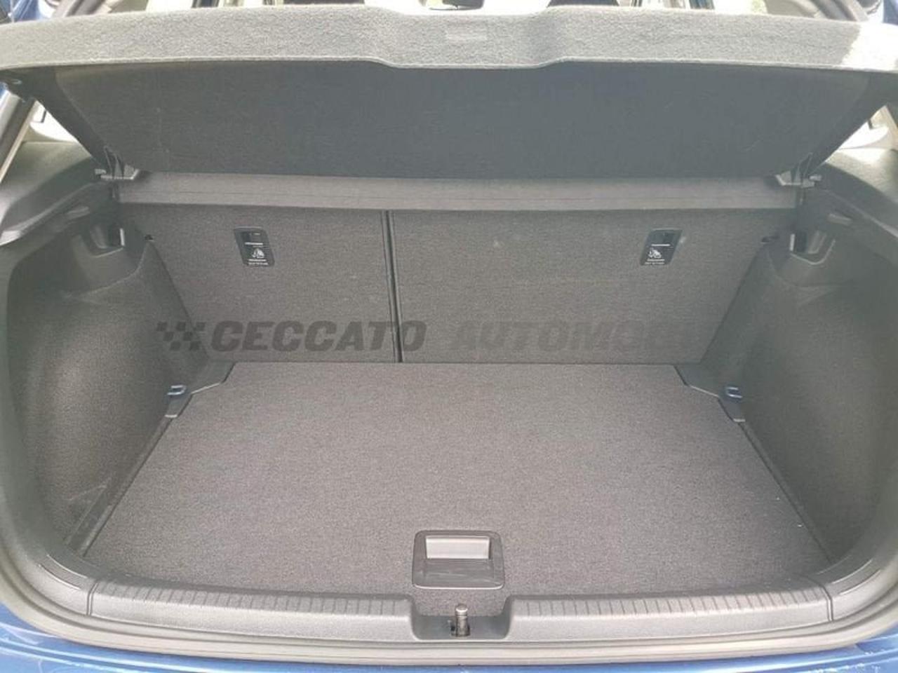 Volkswagen Volkswagen Polo usata, con cruise control