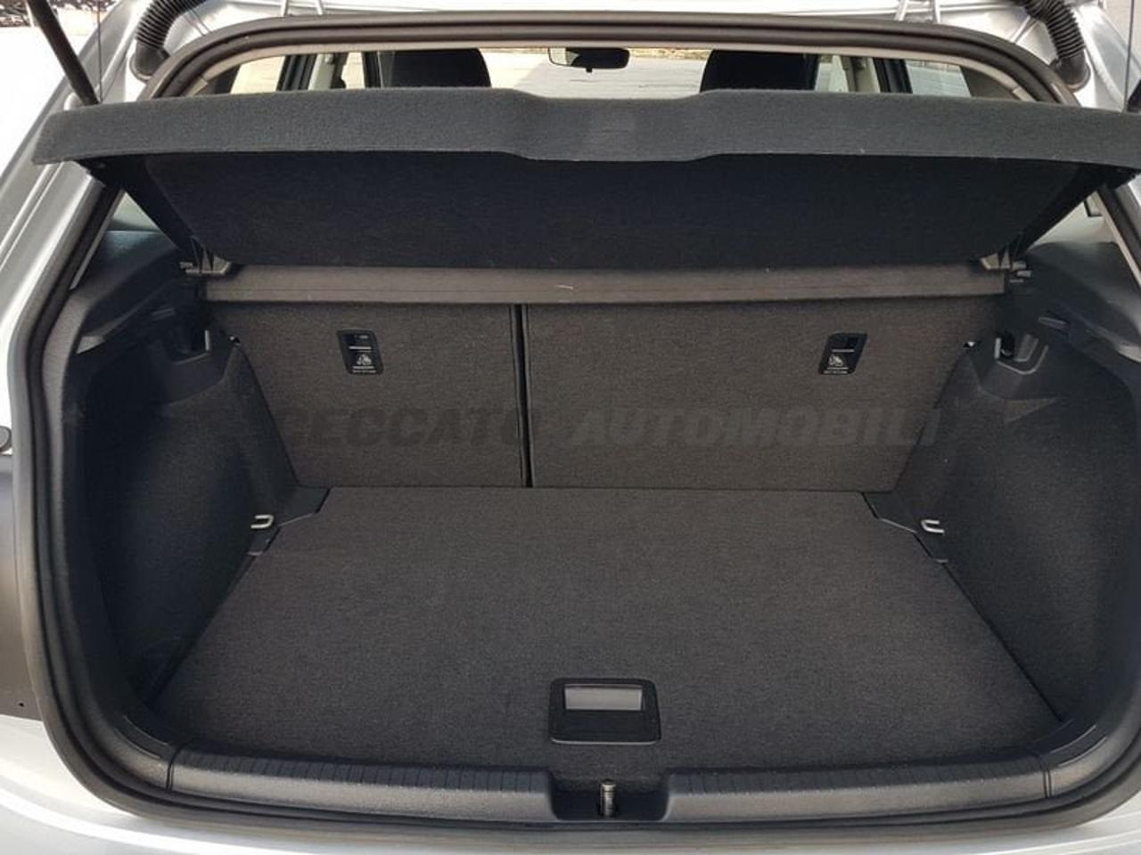 Volkswagen Volkswagen Polo usata 14