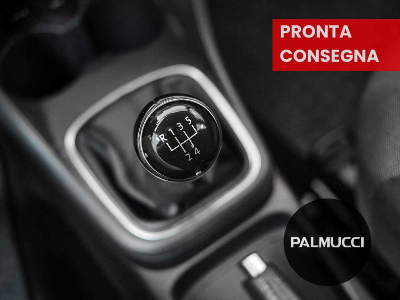 Volkswagen Volkswagen Polo usata 21
