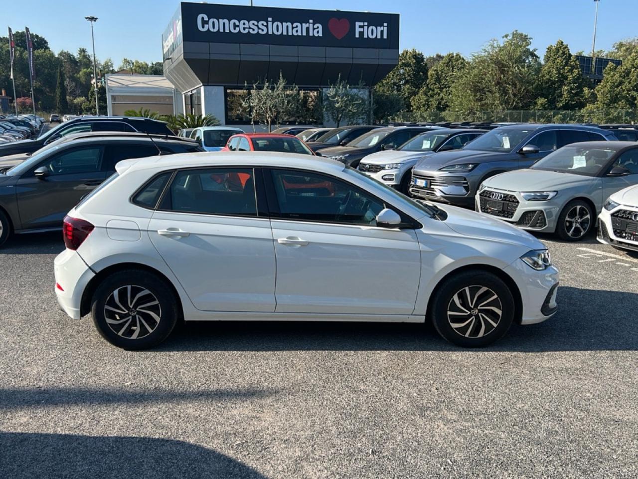 Volkswagen Volkswagen Polo usata 16
