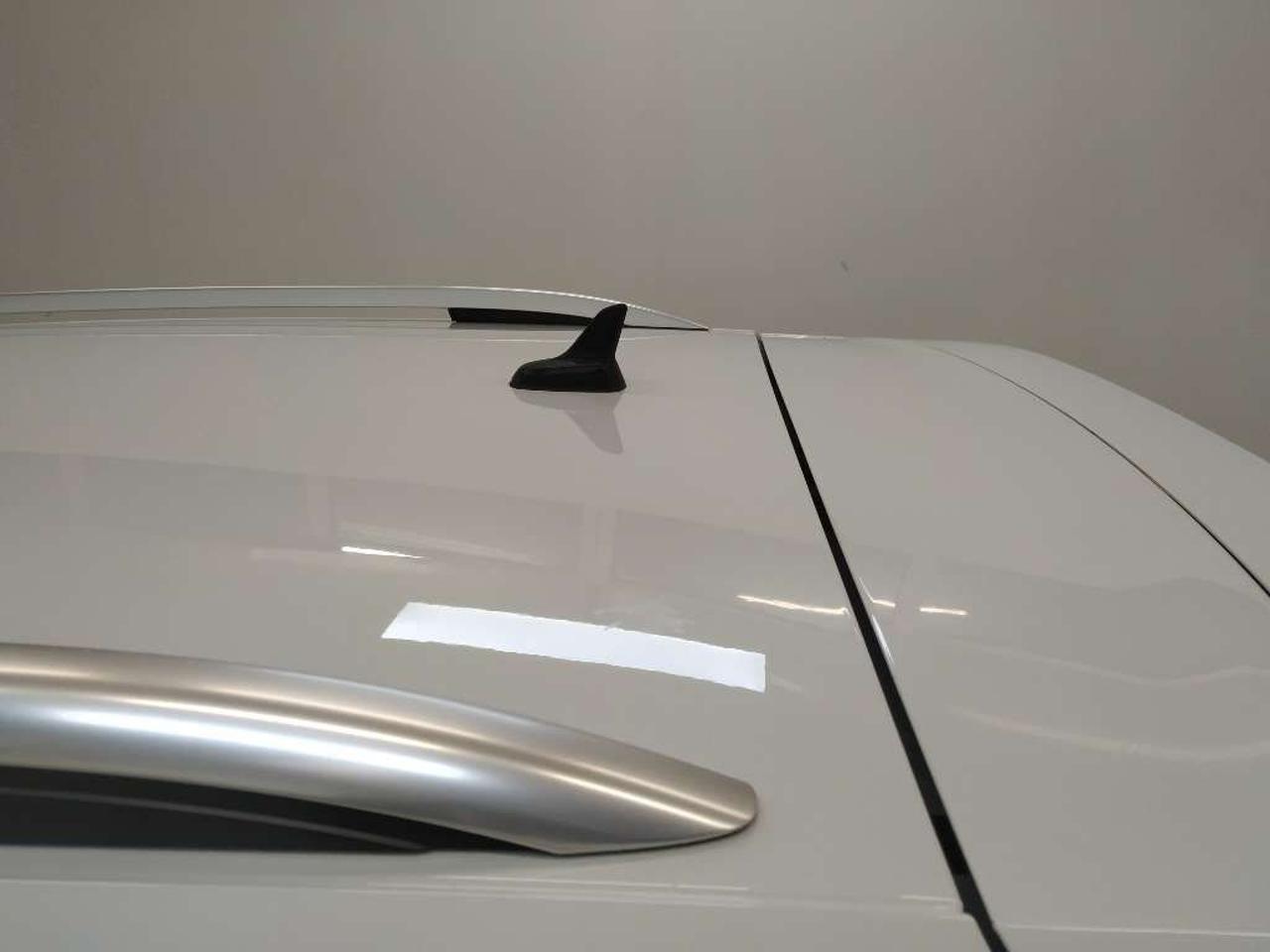 Volkswagen Volkswagen Tiguan usata 14