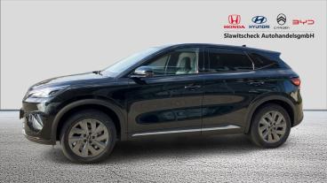 BYD-ATT03-268257_2.JPG 