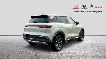 BYD-ATT2-278895_3.JPG 