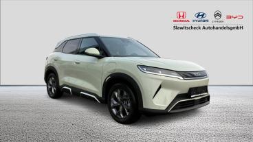 BYD-ATT2-278895_4.JPG 
