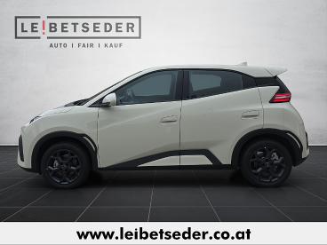 BYD-DOLPHIN-262347_2.JPG 