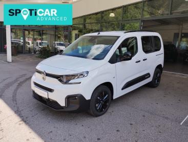 CITROEN-BERLINGO-268763_1.JPG 