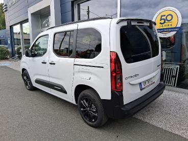 CITROEN-BERLINGO-269986_4.JPG 