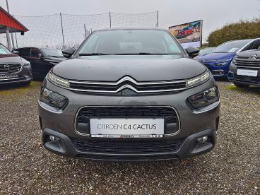 CITROEN-C4-CACTUS-267328_5.JPG 