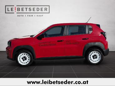 FIAT-GRANDE-PANDA-252232_2.JPG 