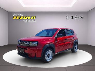 FIAT-GRANDE-PANDA-269559_1.JPG 