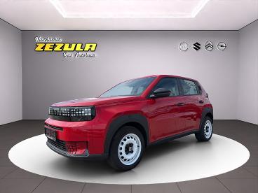 FIAT-GRANDE-PANDA-269561_1.JPG 