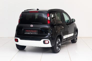 FIAT-PANDA-235441_2.JPG 