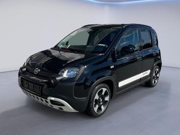 FIAT-PANDA-248651_2.JPG 