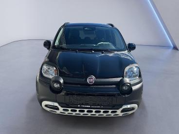 FIAT-PANDA-248651_3.JPG 