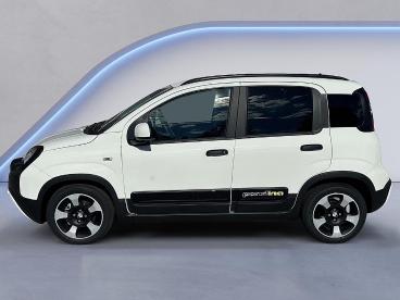 FIAT-PANDA-248652_1.JPG 