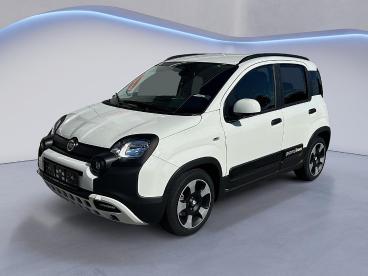 FIAT-PANDA-248652_2.JPG 