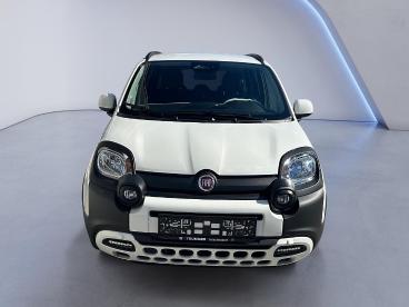 FIAT-PANDA-248652_3.JPG 