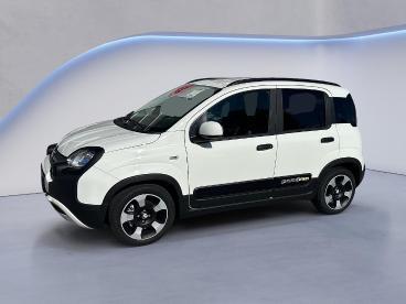 FIAT-PANDA-248652_4.JPG 