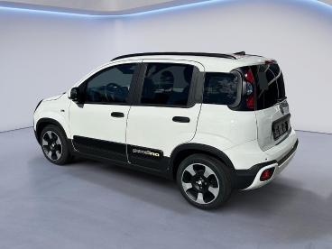 FIAT-PANDA-248652_5.JPG 