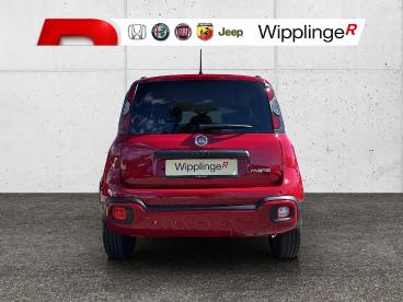 FIAT-PANDA-249923_4.JPG 