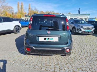 FIAT-PANDA-251165_5.JPG 