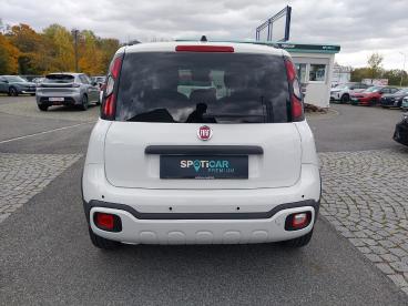 FIAT-PANDA-251167_5.JPG 