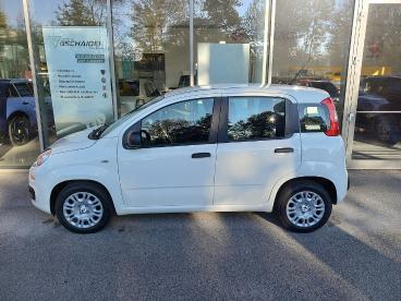 FIAT-PANDA-251559_3.JPG 
