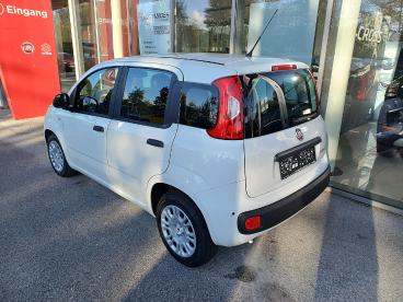 FIAT-PANDA-251559_4.JPG 