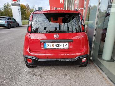 FIAT-PANDA-251571_4.JPG 
