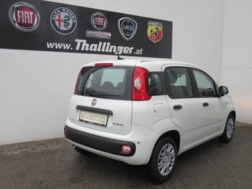 FIAT-PANDA-254653_5.JPG 