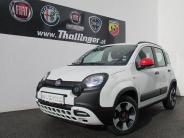 FIAT-PANDA-254829_3.JPG 