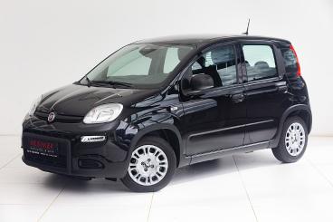 FIAT-PANDA-255500_1.JPG 