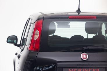 FIAT-PANDA-255500_3.JPG 