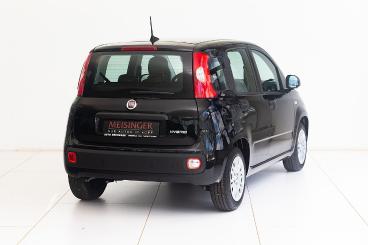 FIAT-PANDA-255594_2.JPG 