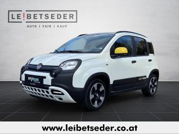 FIAT-PANDA-255977_1.JPG 