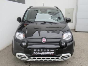 FIAT-PANDA-258612_4.JPG 