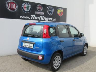 FIAT-PANDA-258613_5.JPG 