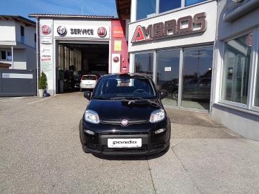 FIAT-PANDA-259034_1.JPG 
