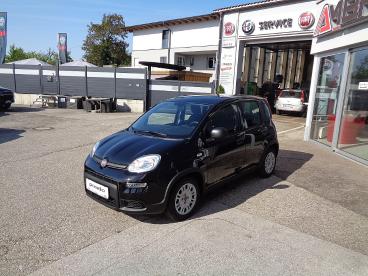FIAT-PANDA-259034_2.JPG 