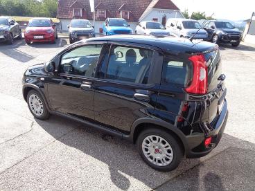 FIAT-PANDA-259034_3.JPG 